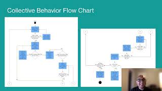 Collective Behavior Flow Chart Video