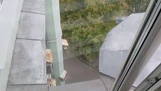 видео: Пассажирский лифт ЩЛЗ-(2015 г) 400 кг, 1 м/с (@ г. Москва, Чистопрудный бульвар, 19/1) картинка: Пассажирский лифт ЩЛЗ-(2015 г) 400 кг, 1 м/с (@ г. Москва, Чистопрудный бульвар, 19/1)