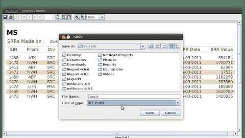 How iReports works with NetBeans