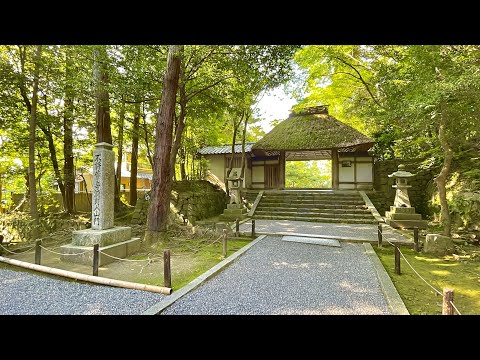 Video: Najbolje vrijeme za posjet Kyotu