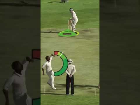 ASHES CRICKET 2009