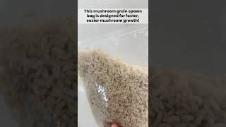 Uncle Bens Rice Is Not Made For Growing Mushrooms. Our Benny Boys Tek Mushroom Grain Spawn Bag Is
