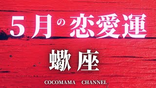 蠍座 5月の恋愛運 あなたとお相手の気持ち 2人の今後の展開 マンスリーリーディング占いタロット占い ココママ Youtube