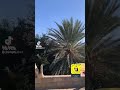 حكمة شايب تراث الجنوب سوالف شيبان بنت الشايب تراث الديار الجنوبيهـ حكمة شايب تراث الجنوب سوالف شيبان بنت الشايب تراث الديار الجنوبيهـ