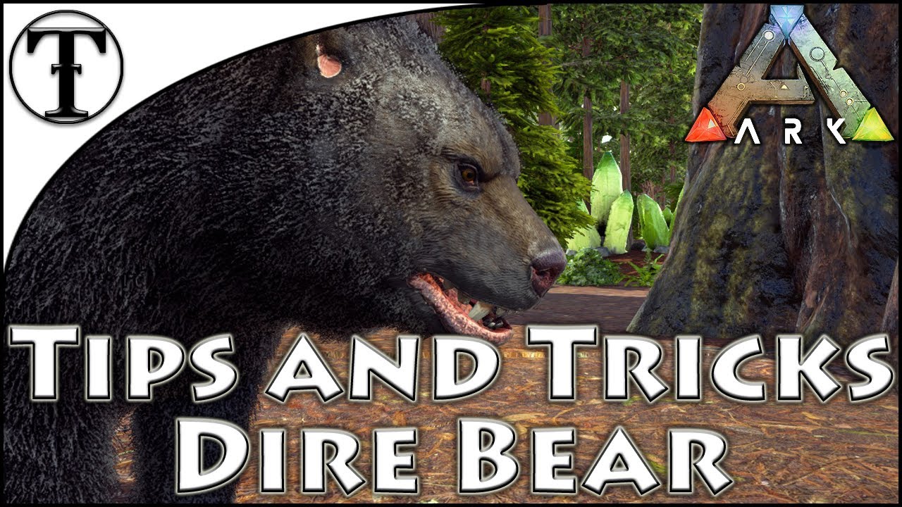 Fast Dire Bear Taming Guide :: Ark : Survival Evolved Tips And Tricks