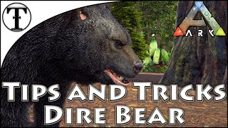 Fast Dire Bear Taming Guide Ark Survival Evolved Tips And Tricks