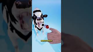 Магнит в желудке: как это работает? 🧲🐮 #наука #факты
