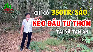 #13 Kèo đầu tư đất mẫu tại xã Tân An, Vĩnh Cửu - Nhà đất Đồng Nai