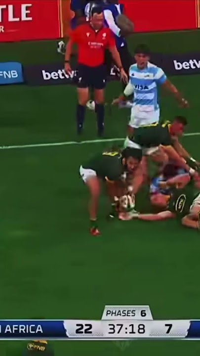 Top 5 springbok try 2024