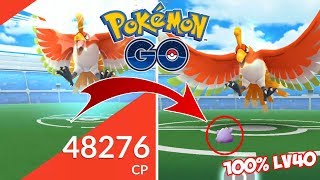 DITTO 100% LV40 VS HO-OH! ¿VALIÓ LA PENA SUBIR A DITTO? [Pokémon GO-davidpetit]