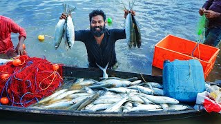 8 ഏക്കറിൽ മീൻ ചാകര കാണാം | Fish Chakara | M4 TECH |