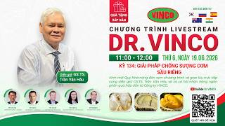 DR.VINCO #134 GIẢI MÃ BẢN ĐỒ SƯỢNG CƠM: GIẢI PHÁP CHỐNG SƯỢNG CƠM SẦU RIÊNG
