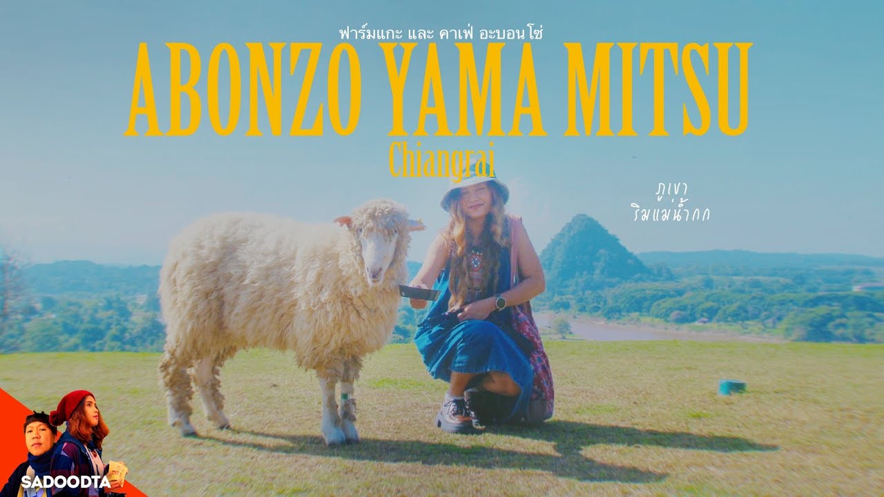 ฟาร์มแกะและคาเฟ่ Abonzo Yama Mitsu เชียงราย | sadoodta