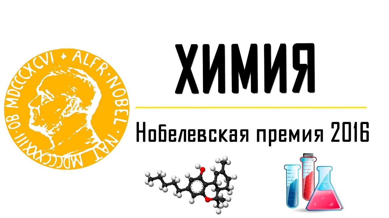 ХИМИЯ. ЗА ЧТО дали Нобелевскую премию по ХИМИЯ в 2016 году. Чуть-Чуть о Науке #Наука