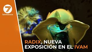 The IVAM inaugurates Radix, the new exhibition of the artist Tania Candiani