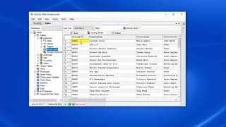 Hidden Features in WinSQL Part 2