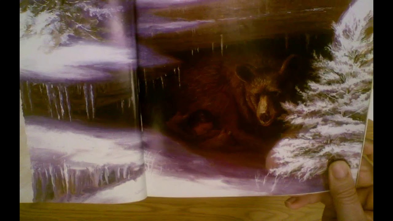 Thirteen Moons on a Turtle's Back