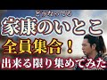 【家康のいとこ紹介】出来るだけ多く集めてみた〜どうする家康〜