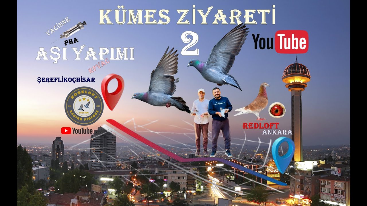 KÜMES ZİYARETİ 2 ( REDLOFT / ANKARA ) AŞI, VACİNNE