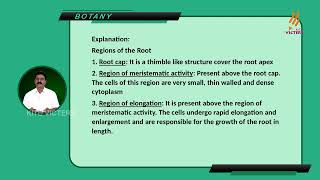 Morphology of Flowering plants PART 1
