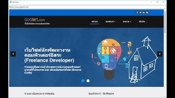 Using WebView2 with Visual Basic .NET (2017+)