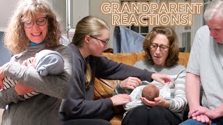 Our Parents Meet Their Grandson for the First Time!