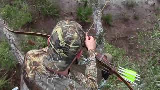 Traditional Bowhunting Black Widow Bow hog hunt