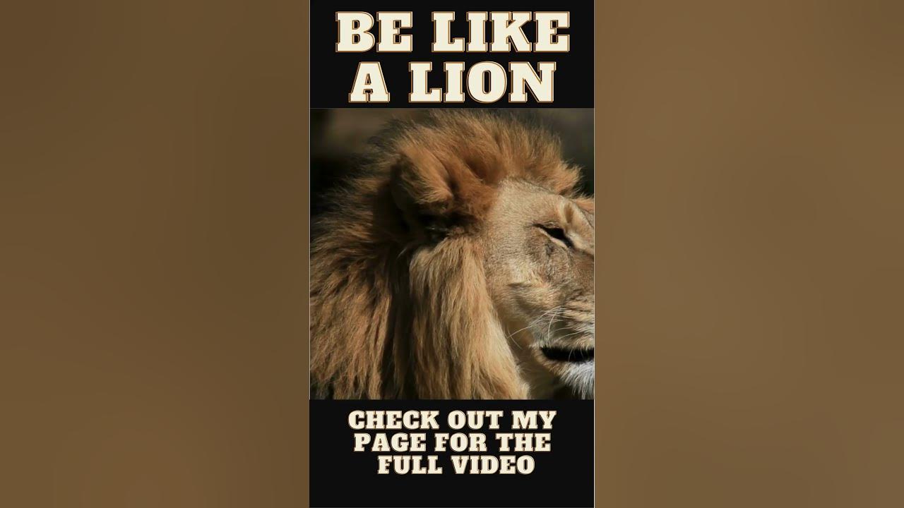 Be Like a Lion YouTube