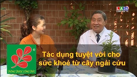 TÁC DỤNG TUYỆT VỜI CHO SỨC KHOẺ TỪ CÂY NGẢI CỨU - Lương Y Nguyễn Công Đức