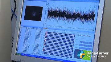 Cancer genetics: Using machine-learning in prostate cancer and melanoma