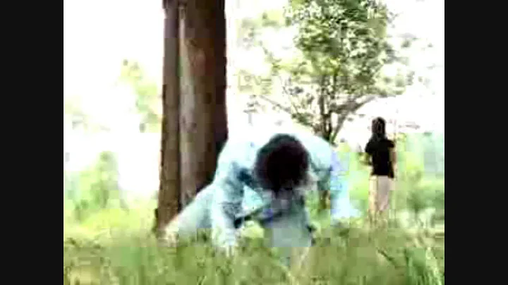 Bao Lee  -  Hlub tsis tau