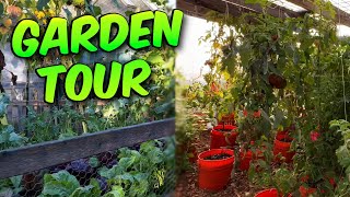 Urban Farm Garden Tour in Washington State!