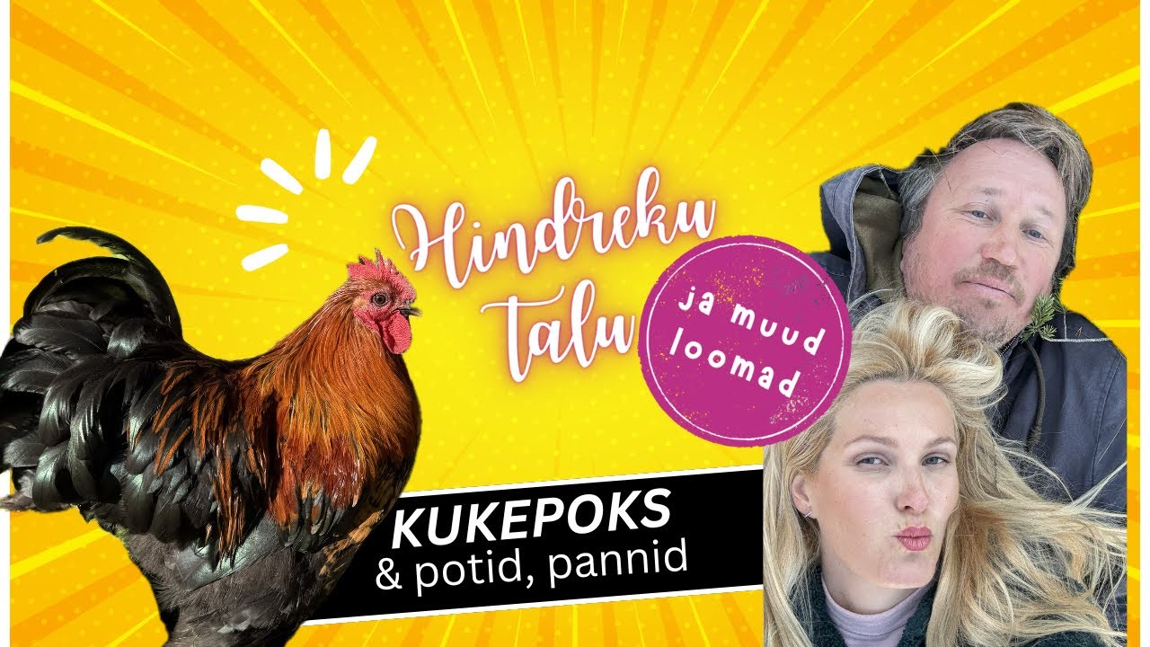 Hindreku talu vlog 3