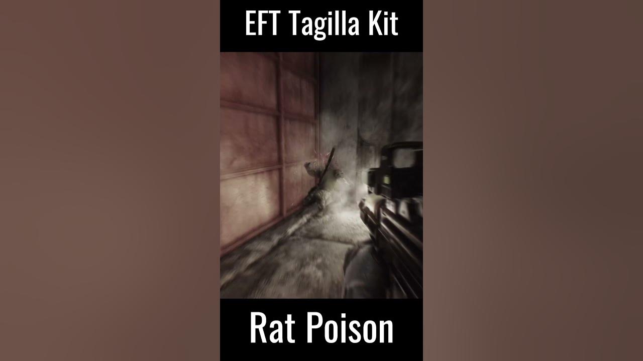 Rat Poison Escape from Tarkov escapefromtarkov YouTube