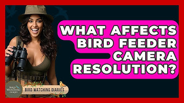 What Affects Bird Feeder Camera Resolution? - Bird Watching Diaries