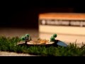 Blackriver Ramps Brick Box Session