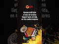 Ahora Que Te Vas - Los Inquietos Del Vallenato  #sentirvallenato #sentimientovallenato #musica