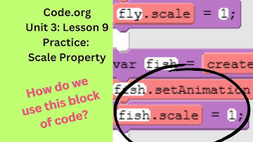 Code org CSD Unit 3 Lesson 9 Practice Scale Property