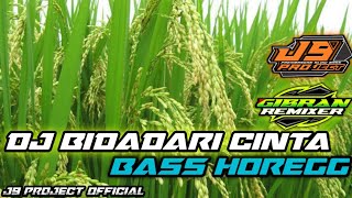 DJ BIDADARI CINTA || BASS HOREGG || BY J9 PROJECT OFFICIAL