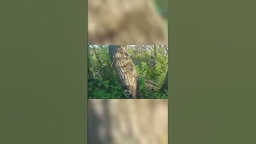 Azov hero survives Russian shelling amid intense counterattack