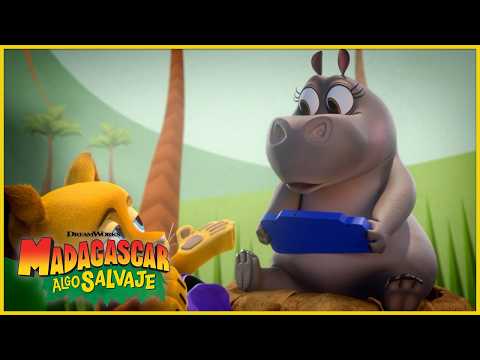 Gloria, la gamer 👾🦛 | DreamWorks Madagascar en Español Latino