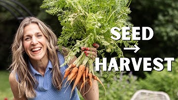 Watch This BEFORE You Grow Carrots
