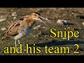 Snipe  2 part