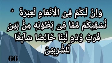 قدرة الله تعالى - الآيات من سورة النحل من الآية 65 69 *  Nahl ayat 65 69