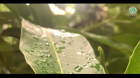 Be Skilled: Transforming Ideas to Reality @ Dept. of Computer Science and Engineering, VVCE, Mysuru