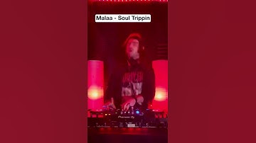 House Tracks You Need to Hear Pt. 2 🔥