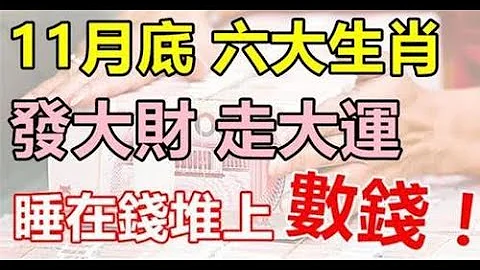 11月底發大財，走大運，睡在錢堆上數錢的生肖、地利、人和之勢，事業發展順風順水，可謂大吉大利，發財致富也是指日可待！ - 天天要聞