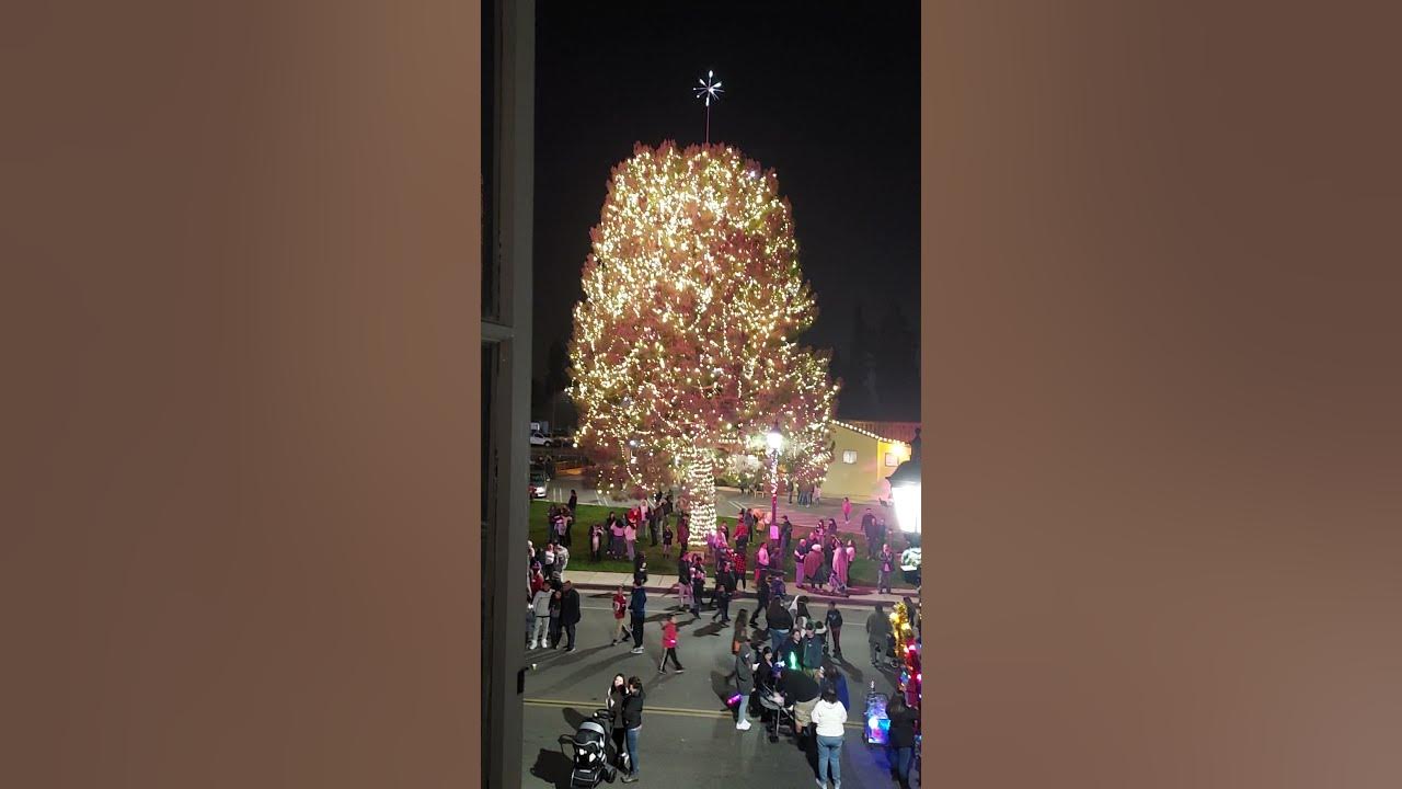Christmas Tree Lighting in San Dimas, California 🎄💥🎄💥 YouTube