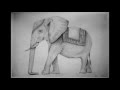 Pencil Drawing: Indian Elephant