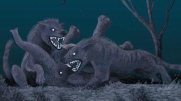 The Insane Evolution of Hyaenodonts